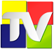 ticavision logo 2