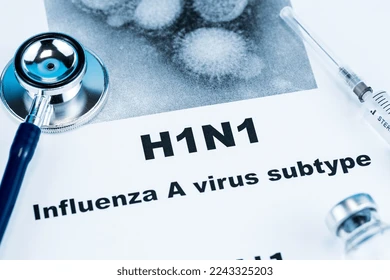 close-influenza-virus-subtype-h1n1-260nw-2243325203