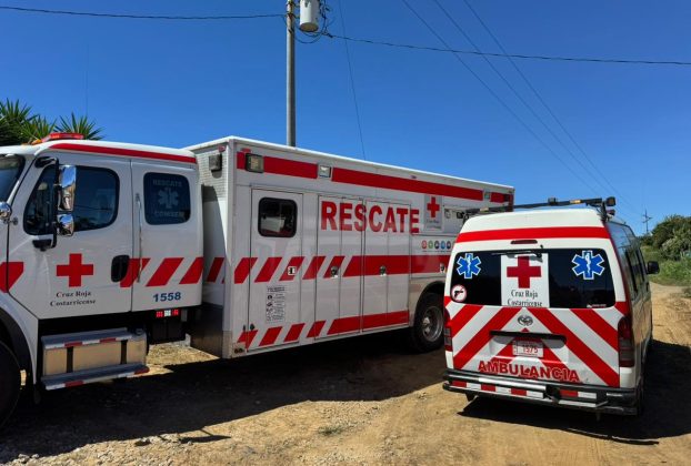 Imagen de referencia