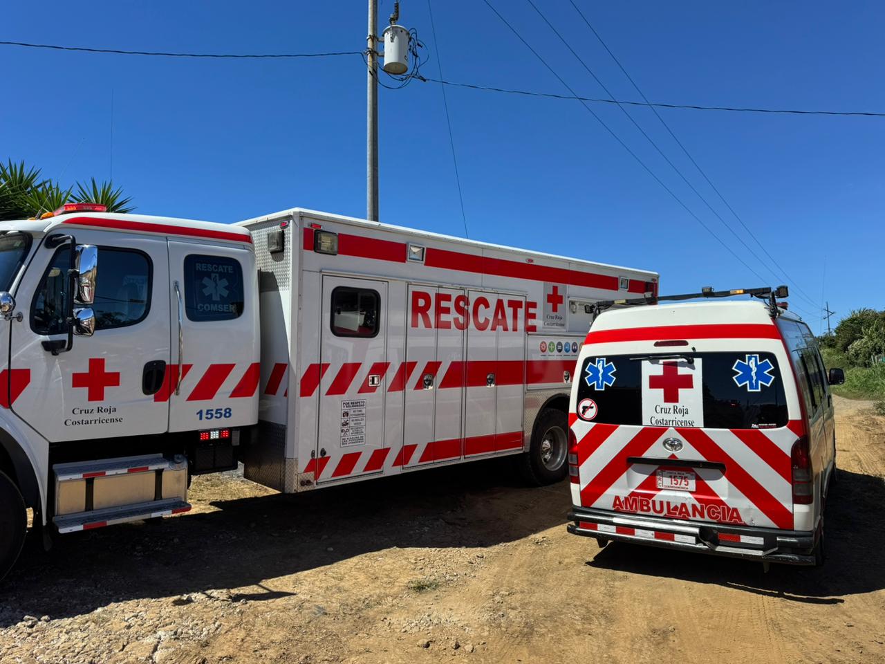 Imagen de referencia